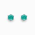 Rhodium Plated Turquoise Crystal Stud Earrings