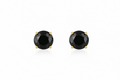 18K Gold Plated Stud Earrings