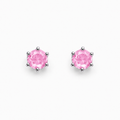 Rhodium Plated Pink Crystal Stud Earrings.